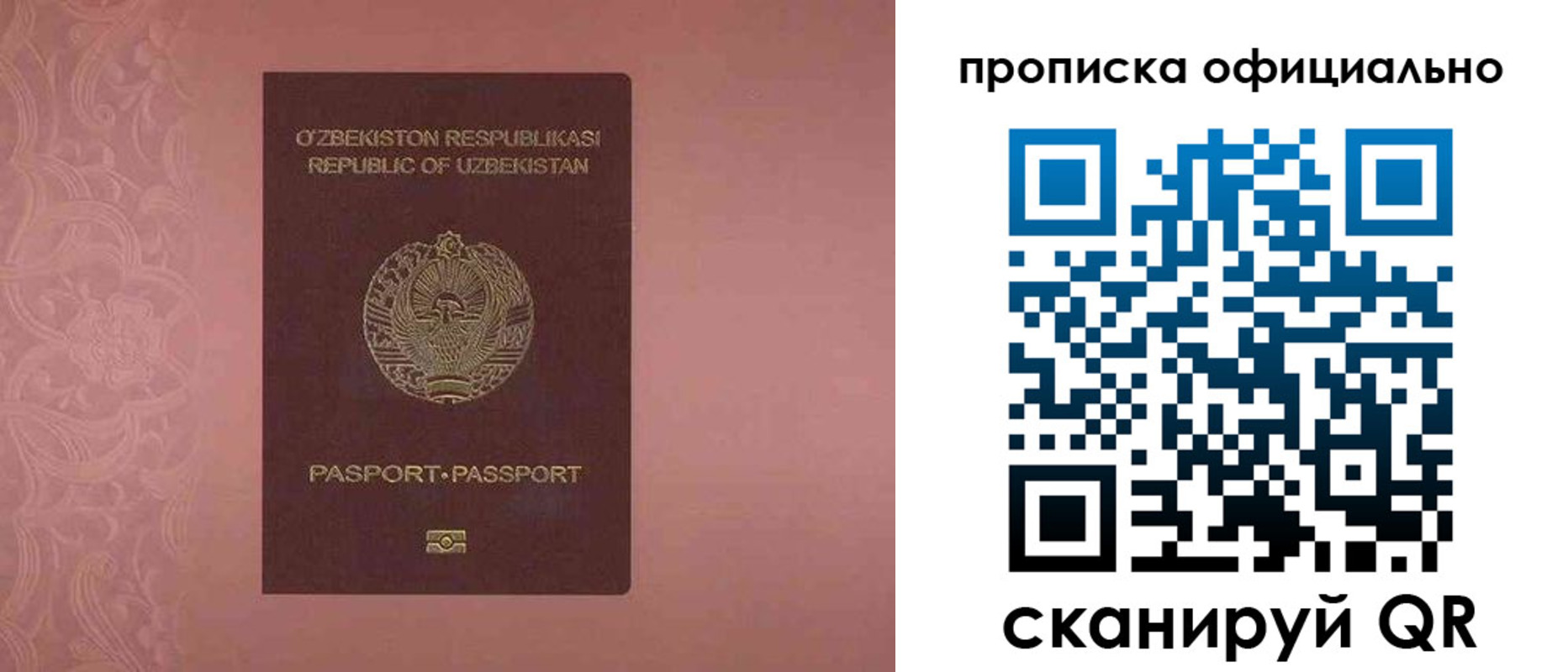 прописка гарантия в Боготоле
